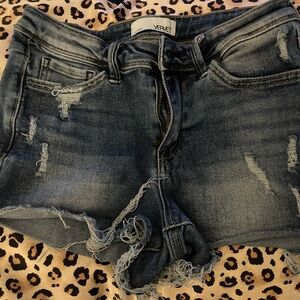 Vervet by Flying Monkey boutique shorts